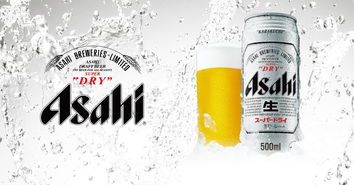 朝日啤酒品牌设计 广告摄影 画册设计 海报设计